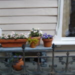 Het balkon van de Willowcrest